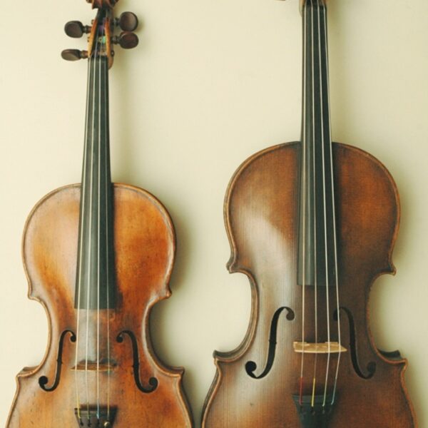 Violon alto